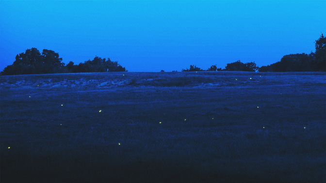Welcome-WIDE#preset=tg_title3.jpg