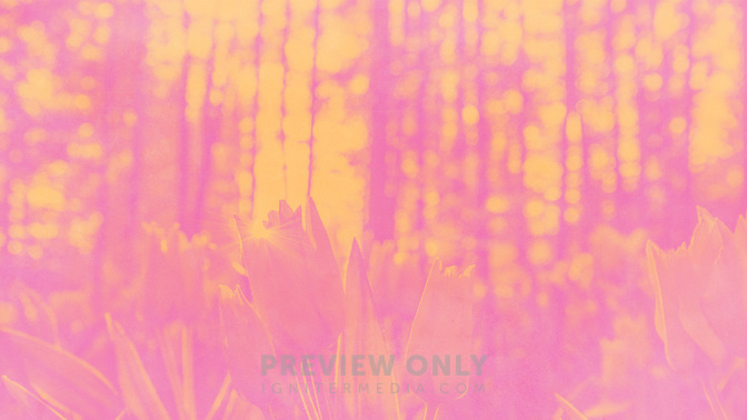 Pastel_Scenes-Events_WIDE-TITLE-3#preset=tg_title3.jpg
