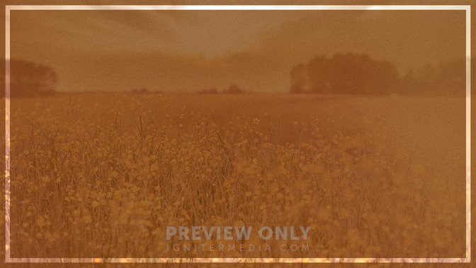 Deborah_16x9-BACKGROUND#preset=tg_bg.jpg