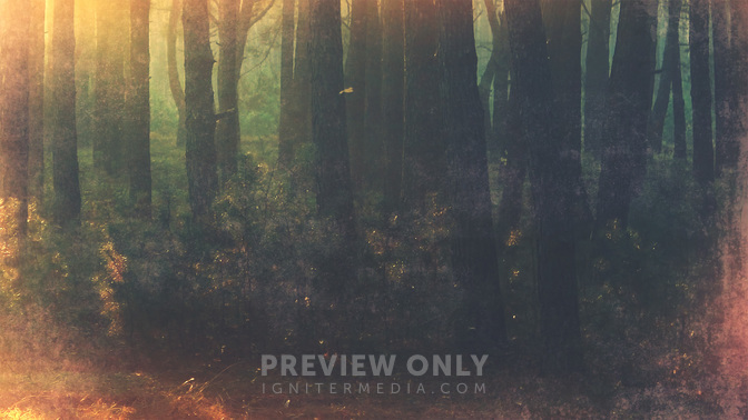 Revival-WIDE#preset=tg_alt2.jpg