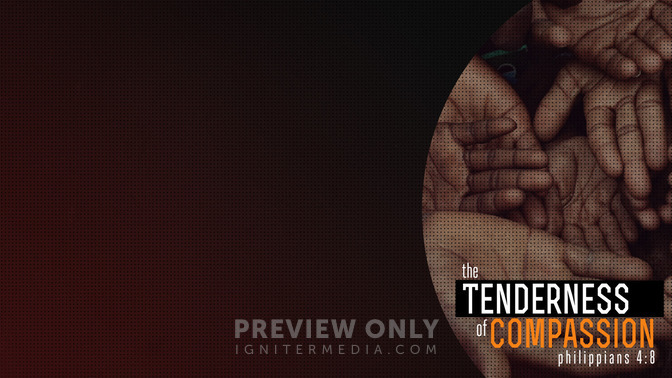The_Tenderness_of_Compassion_16x9-CONTENT-1#preset=tg_alt1.jpg