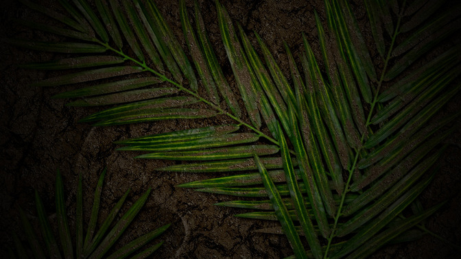 When_The_Cheering_Stopped_16x9-BACKGROUND#preset=tg_bg.jpg