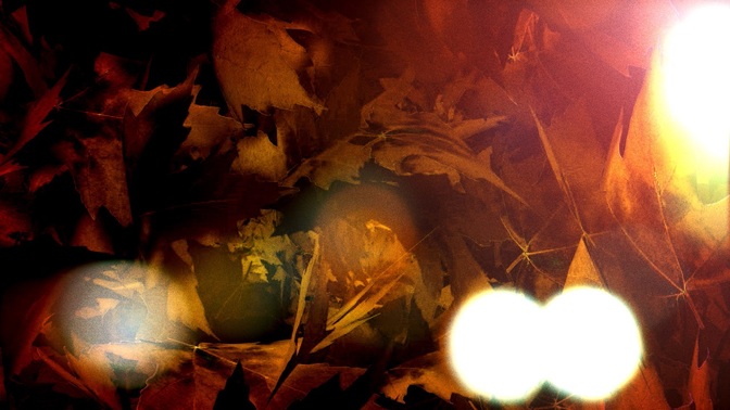 FallLeavesSpin-HD.jpg