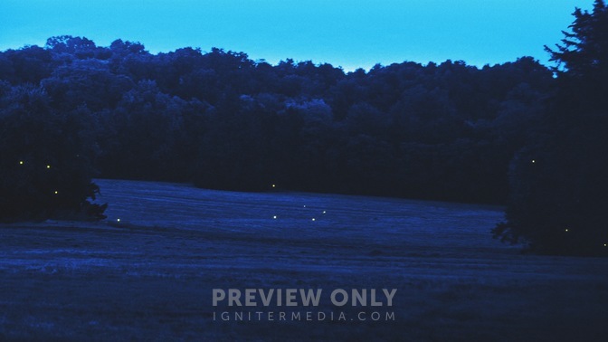 Fireflies_Hollow_HD.jpg