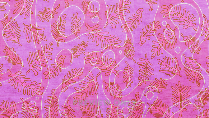 Coral_Colors_Pink_HD.jpg