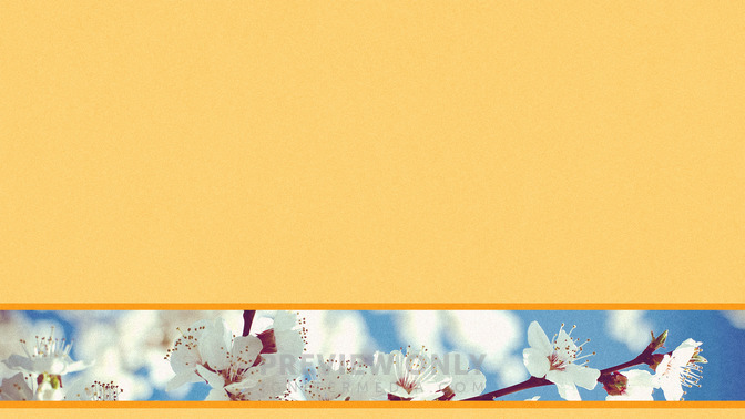 Spring_Flowers_-_Upcoming_Events_16x9-BACKGROUND#preset=tg_bg.jpg