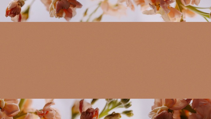 floral details - 1