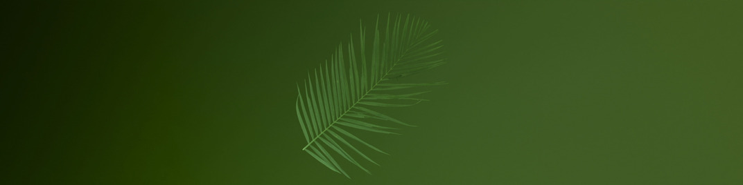 palm sunday ink - 1