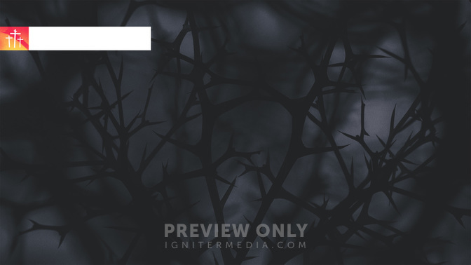 Good_Friday_WIDE-CONTENT-3#preset=tg_alt3.jpg