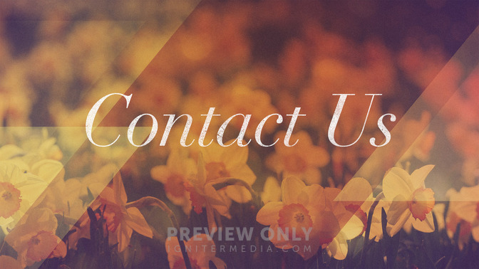 Morning_Flowers_-_Contact_Us_16x9-TITLE-2#preset=tg_title2.jpg