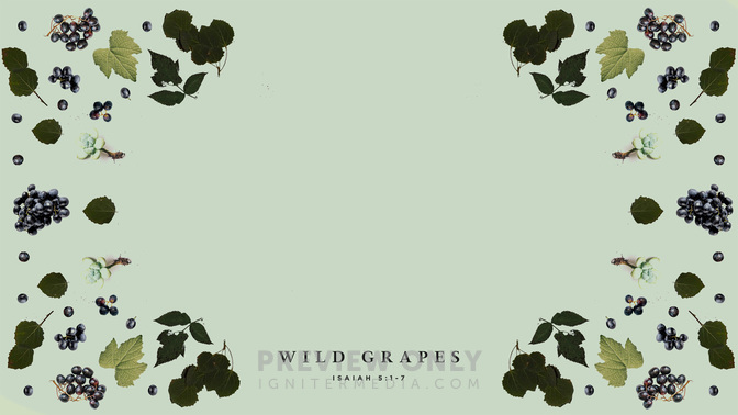 Wild_Grapes_WIDE-CONTENT-1#preset=tg_alt1.jpg