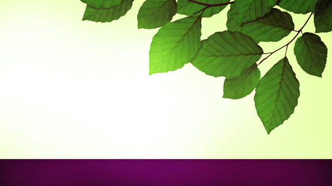 Spring_Leaves_-_Upcoming_Events_16x9-TITLE-3#preset=tg_title3.jpg