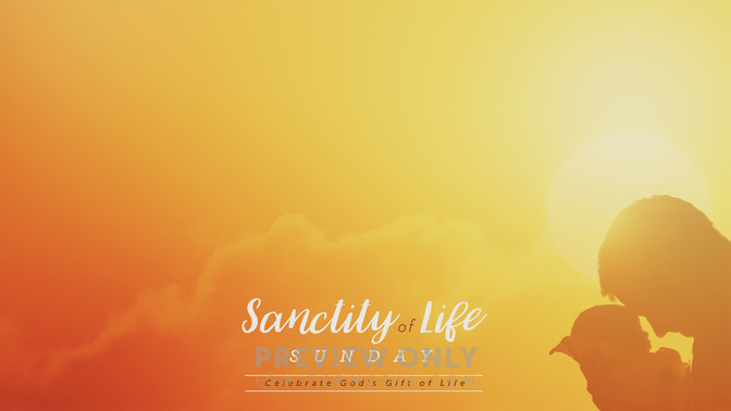 Sanctity_Of_Life_Sunday_WIDE-CONTENT-1#preset=tg_alt1.jpg