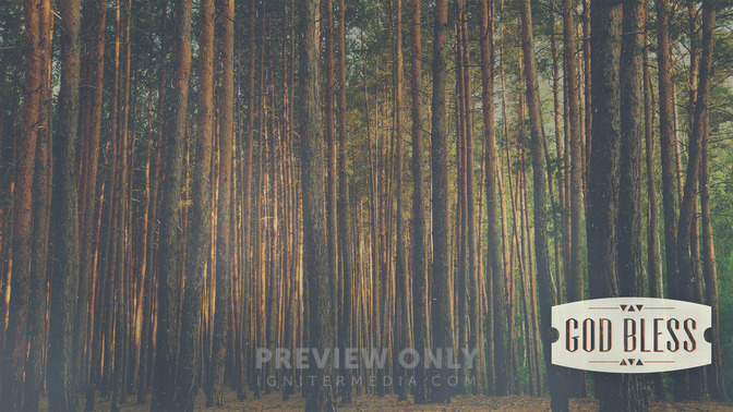 Forest_Morning_-_God_Bless_16x9-CONTENT-2#preset=tg_alt2.jpg