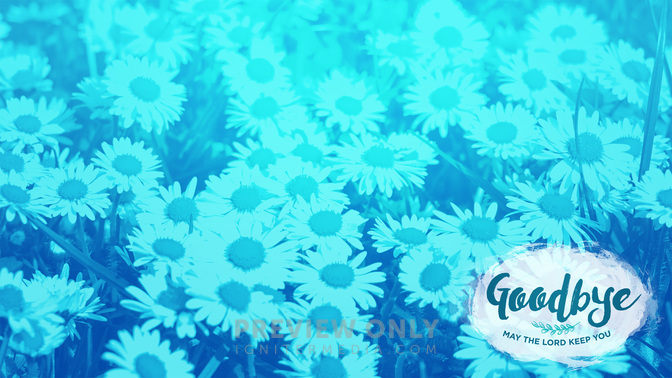 Flower_Fields-Goodbye_WIDE-CONTENT-1#preset=tg_alt1.jpg