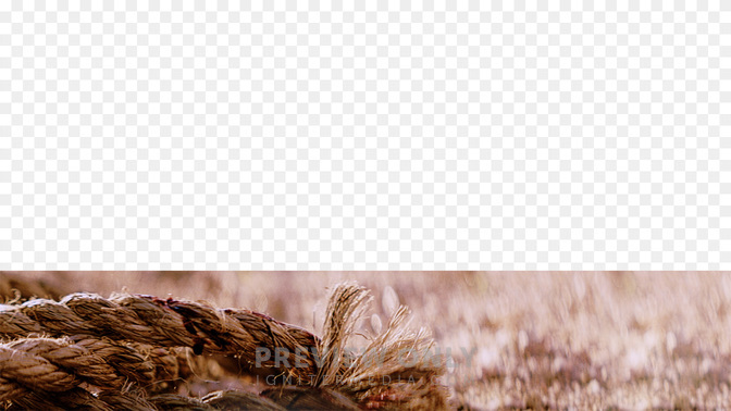 Welcome-WIDE#preset=tg_transparent_png_preview.jpg