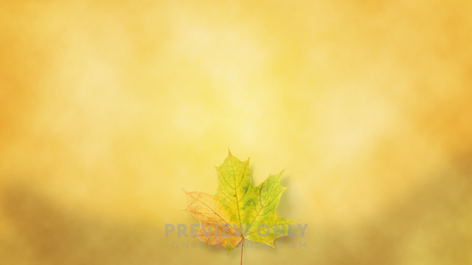 Change_16x9-BACKGROUND#preset=tg_bg.jpg