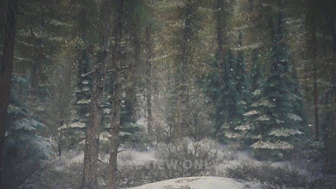 Winter_Wonderland_8_HD.jpg
