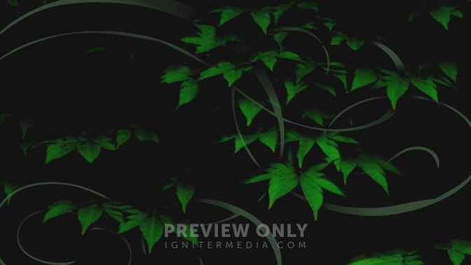 Plants_5_16x9.jpg