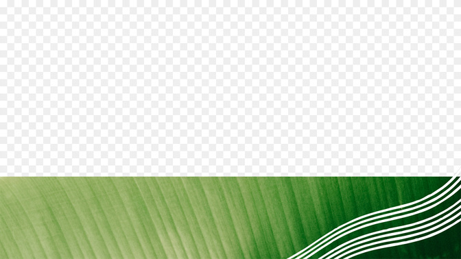 Summer Sun_L3_TH_SummerOutreach_WIDE#preset=tg_transparent_png_preview.jpg