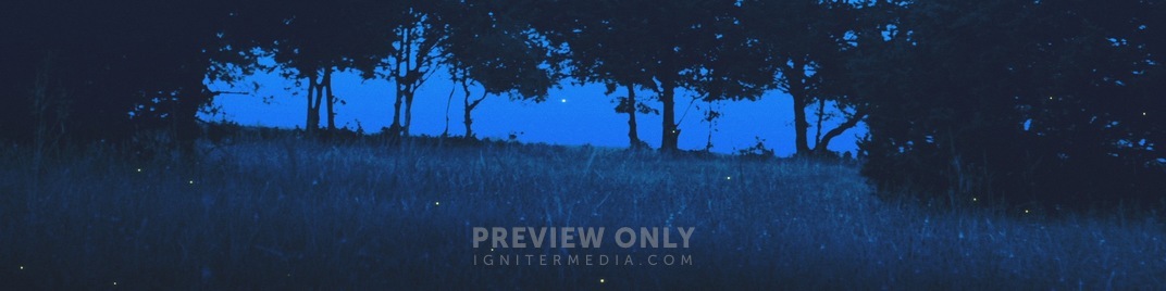 Fireflies_Tree_Cover_UW_SD.jpg