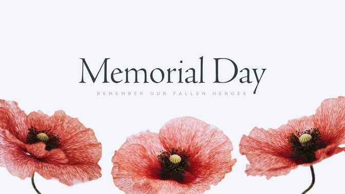 patriotic poppies - memorial day