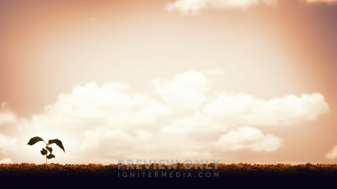 Alive_in_the_Spirit_16x9-CONTENT-3#preset=tg_alt3.jpg