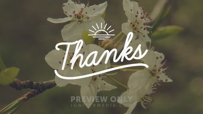 Blossoms_-_Thanks_16x9-TITLE-2#preset=tg_title2.jpg