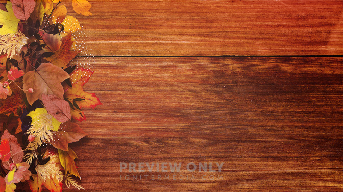 Offering-WIDE#preset=tg_alt2.jpg