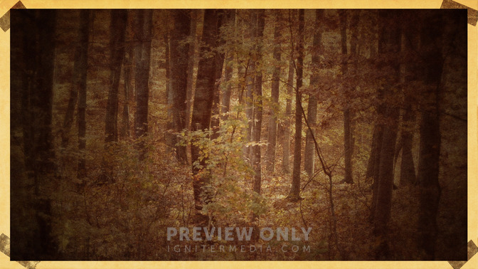 Vintage_De_La_Cada_-_Dios_Los_Bendiga_16x9-BACKGROUND#preset=tg_bg.jpg
