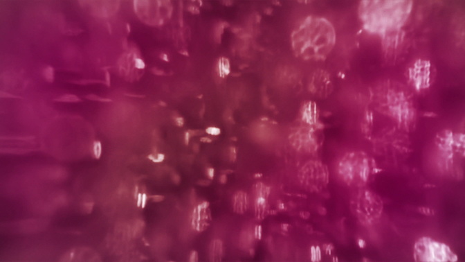Streaked_Bokeh_Pink_HD.jpg