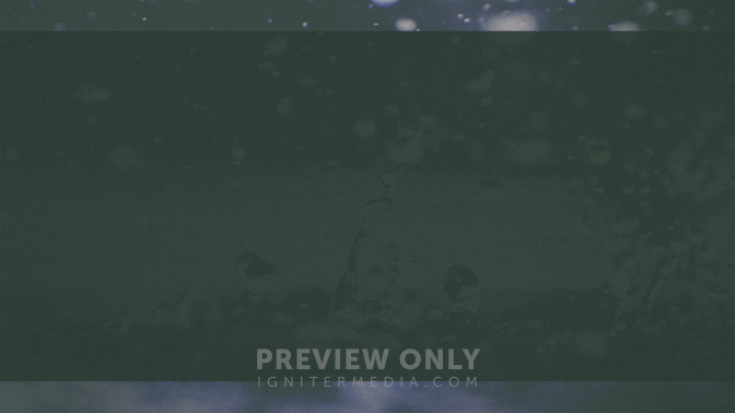 Living_Water_16x9-BACKGROUND#preset=tg_bg.jpg