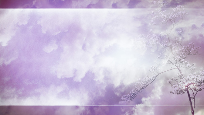 Spring_Blossom_-_This_Week_16x9-BACKGROUND#preset=tg_bg.jpg