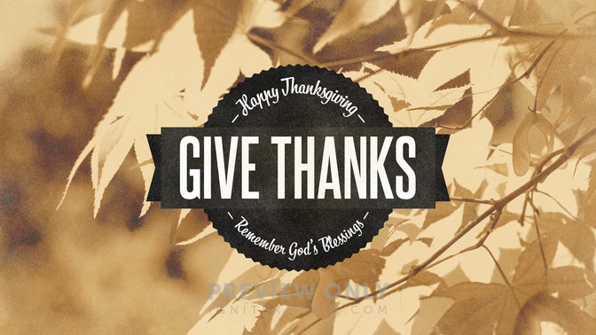 golden harvest - give thanks
