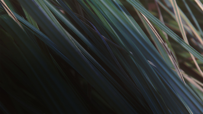 Events-WIDE#preset=tg_alt2.jpg