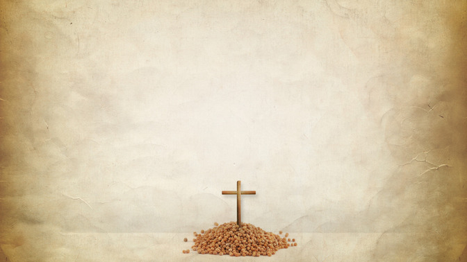 Semillas_de_Resurreccin_16x9-BACKGROUND#preset=tg_bg.jpg