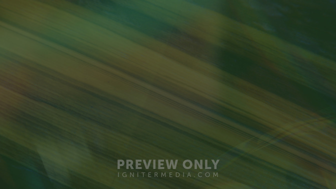 Easter Textures_Easter Texture_Alt2_Palm_Welcome_WIDE#preset=tg_alt2.jpg