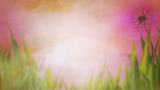 summer