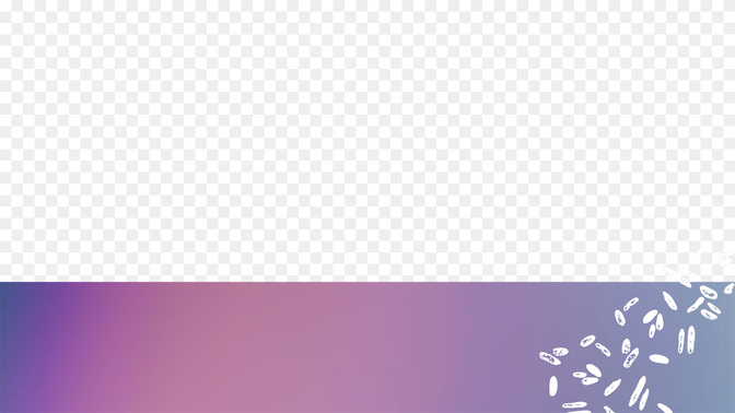 Summer Sun_L3_TH_WorshipNight_WIDE#preset=tg_transparent_png_preview.jpg