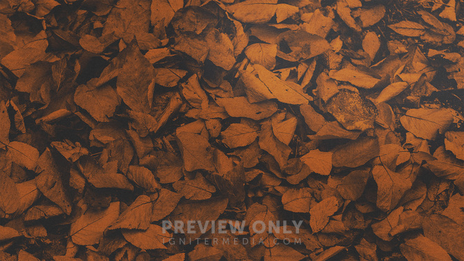 Brushed_Leaves-Fall_Festival_WIDE-BACKGROUND#preset=tg_bg.jpg