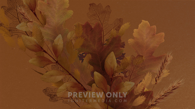 Autumn Nature_TT3_Fall_WIDE#preset=tg_title3.jpg