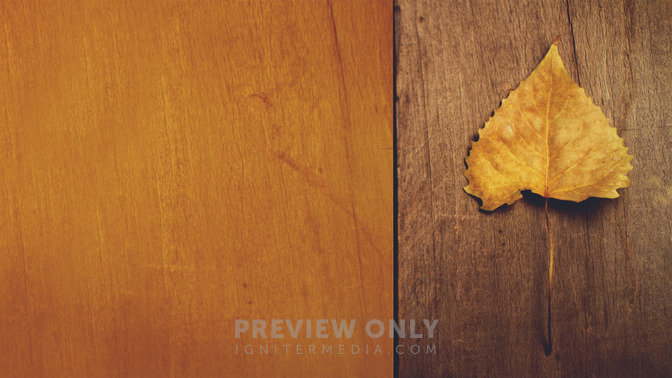 Amber_Leaf_-_God_Bless_16x9-TITLE-3#preset=tg_title3.jpg