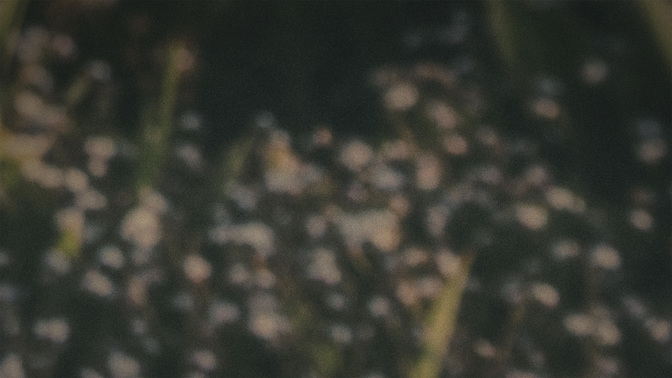 Day_Of_Service_WIDE-BACKGROUND#preset=tg_bg.jpg
