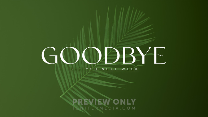 PalmGoodbye-WIDE#preset=tg_title1.jpg