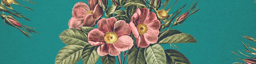 floral burst 3