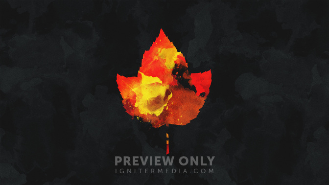 Upcoming-WIDE#preset=tg_title3.jpg
