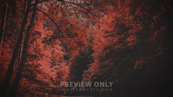 Fall_Retreat_WIDE-TITLE-3#preset=tg_title3.jpg