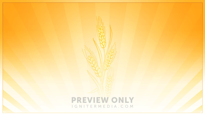 daily bread_WIDE.jpg
