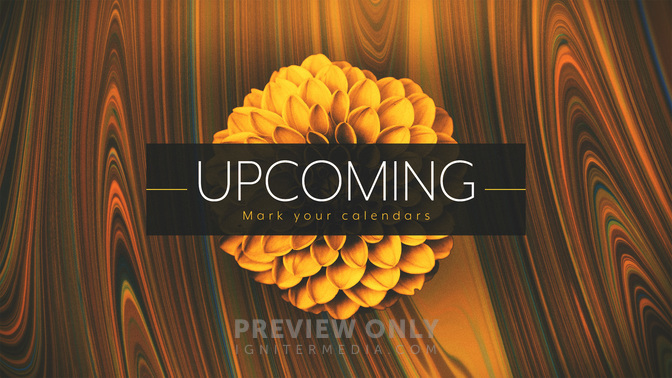 spring mix - upcoming
