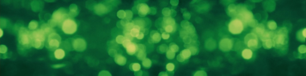 Bush_Bokeh_Green_MS_1920x480.jpg